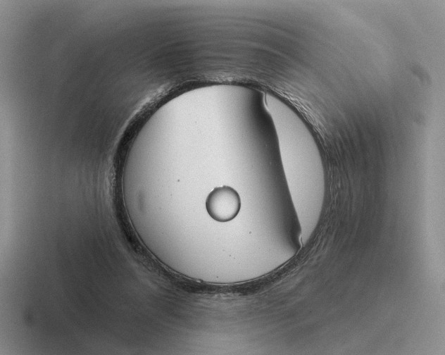 X0000116670304201001041134