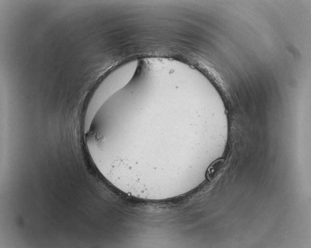 X0000116670305201001041134