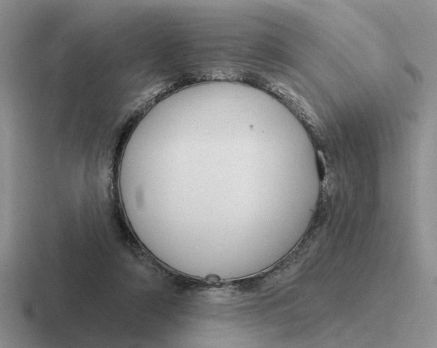 X0000116670306201001041134