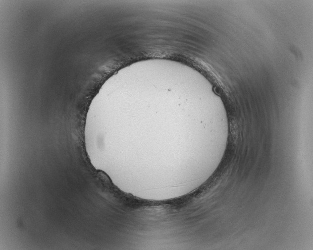 X0000116670307201001041134