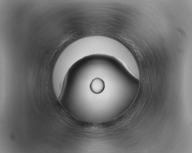 X0000116670308201001041134