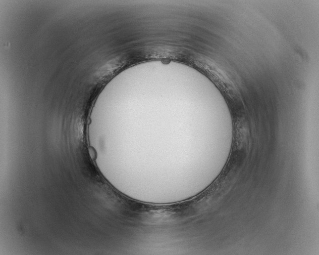 X0000116670310201001041134