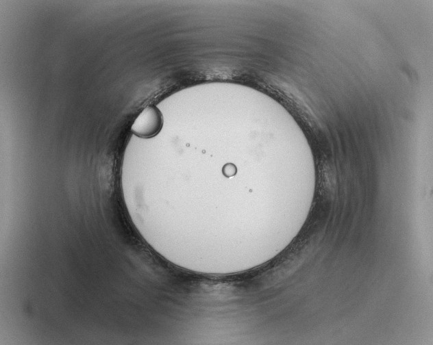 X0000116670311201001041134