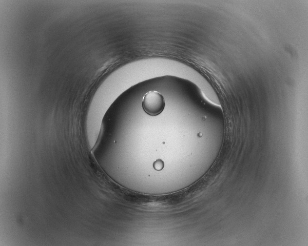 X0000116670312201001041134