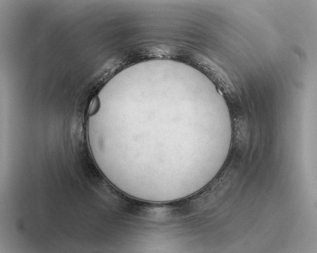 X0000116670313201001041134