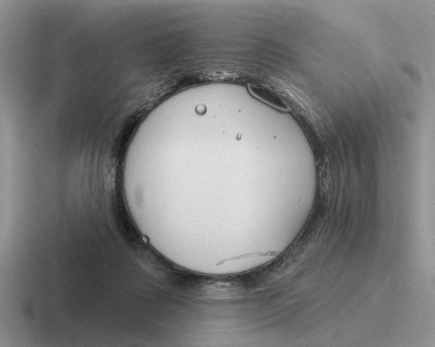 X0000116670315201001041134