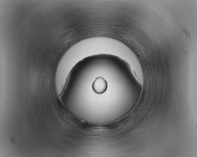 X0000116670316201001041134