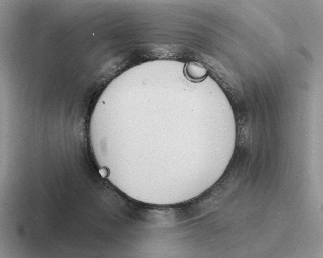 X0000116670317201001041134