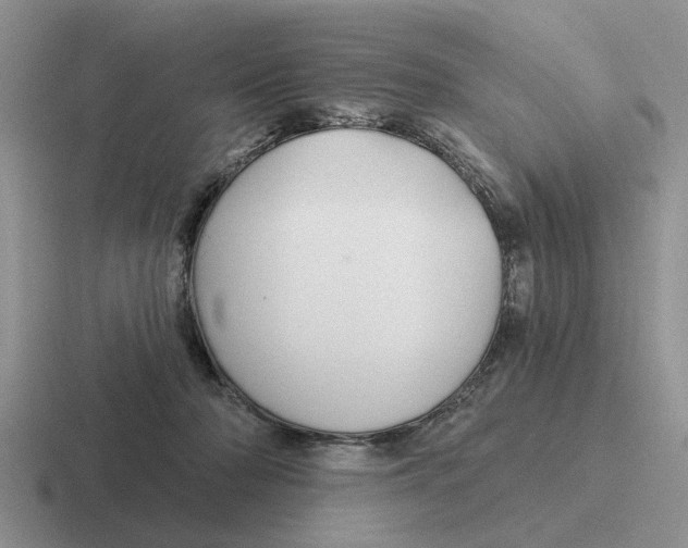 X0000116670318201001041134