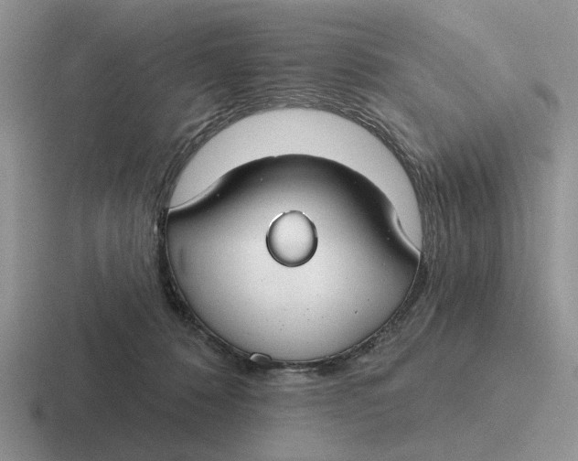 X0000116670320201001041134