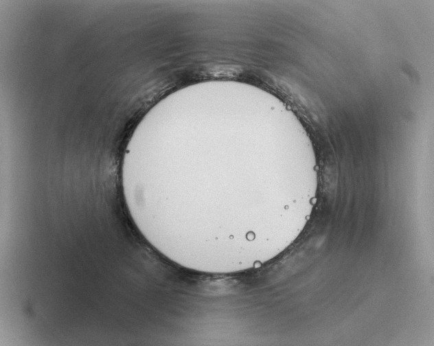 X0000116670321201001041134