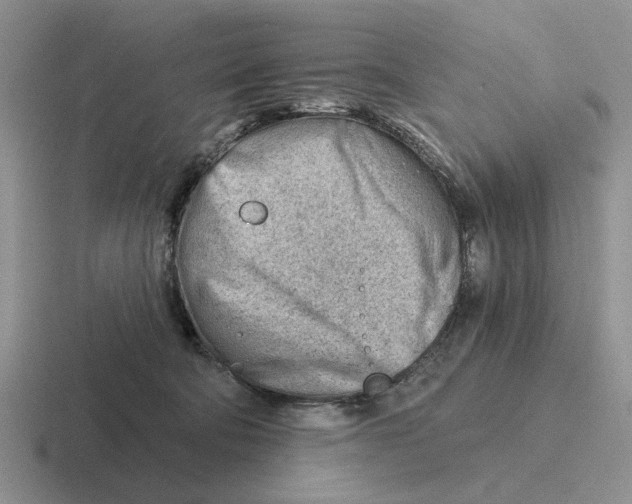 X0000116670322201001041134