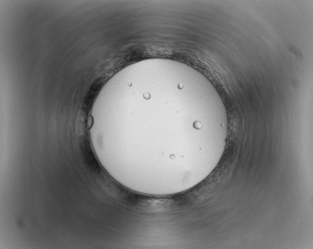 X0000116670323201001041134