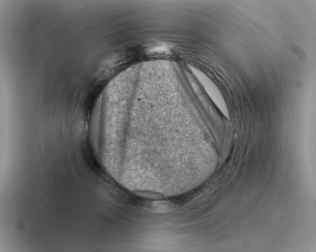 X0000116670324201001041134