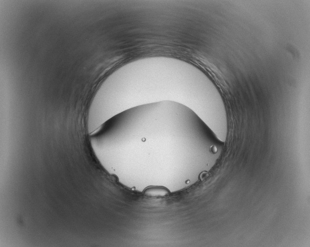 X0000116670325201001041134