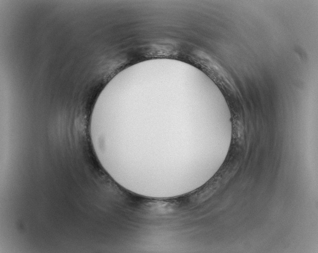 X0000116670326201001041134