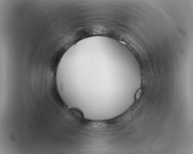 X0000116670327201001041134