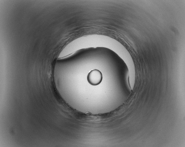 X0000116670328201001041134