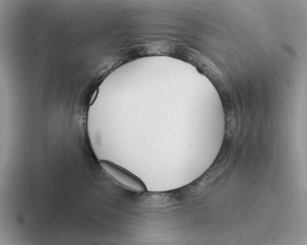 X0000116670329201001041134