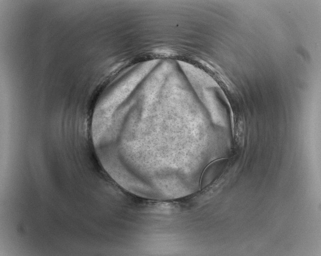 X0000116670330201001041134