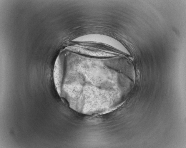 X0000116670331201001041134