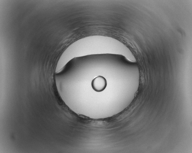 X0000116670332201001041134