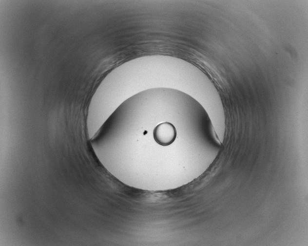 X0000116670333201001041134