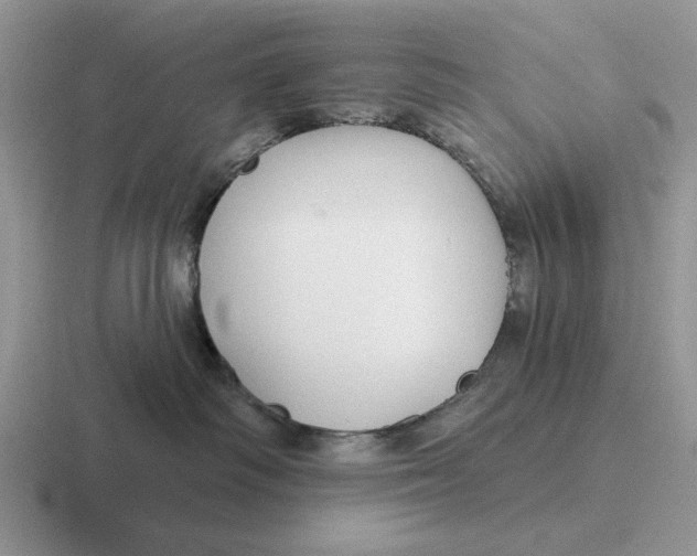 X0000116670334201001041134