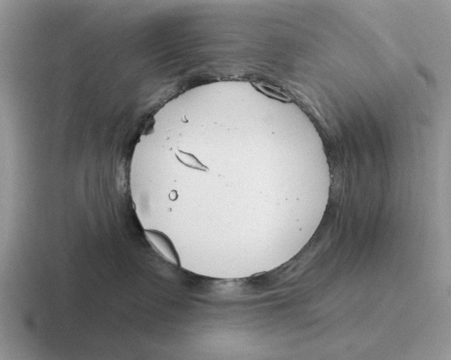 X0000116670335201001041134