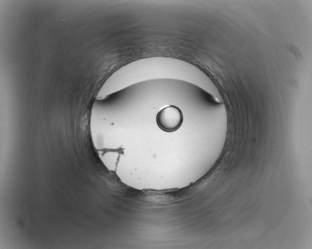 X0000116670336201001041134