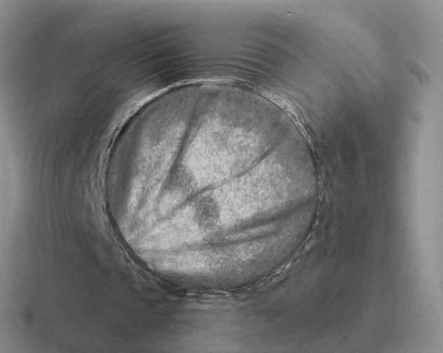 X0000116670337201001041133