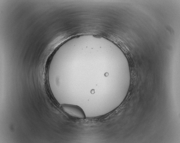 X0000116670338201001041133