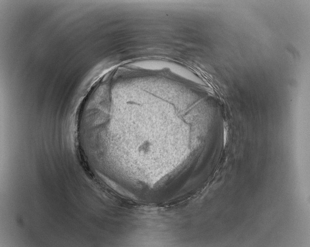 X0000116670339201001041133