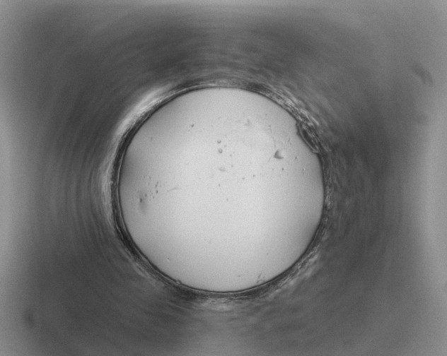 X0000116670341201001041133