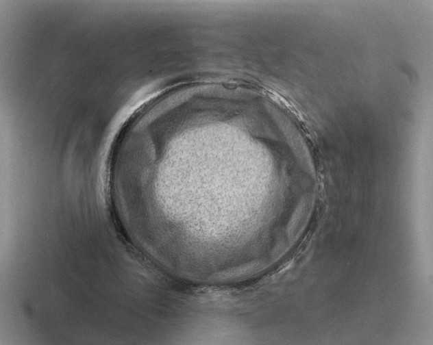 X0000116670343201001041133