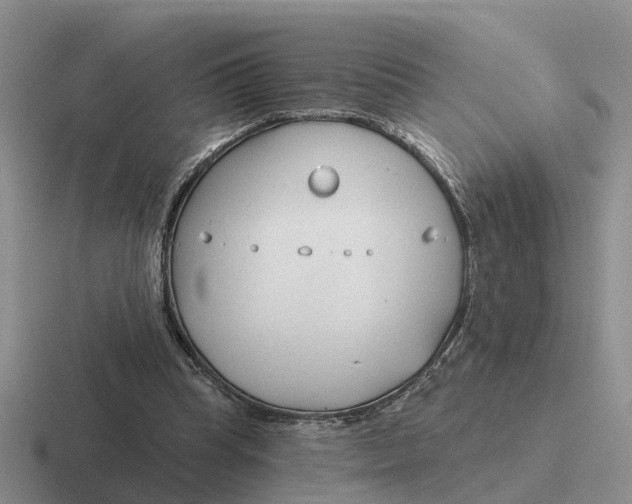 X0000116670345201001041133