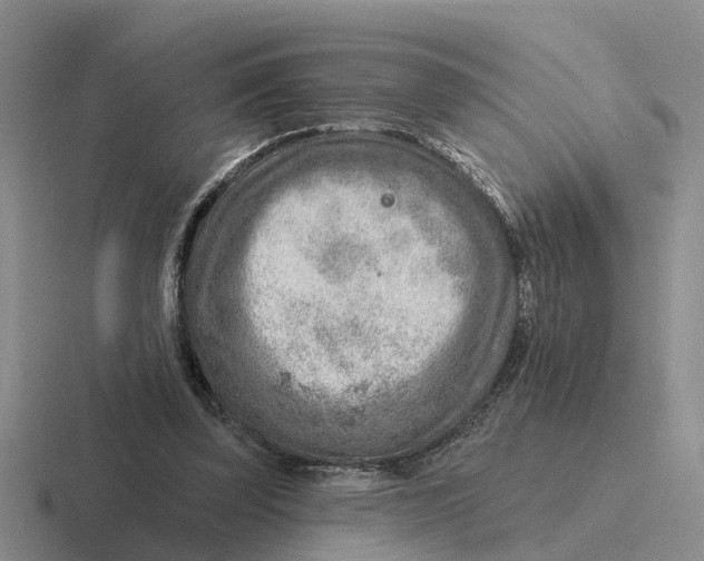 X0000116670347201001041134