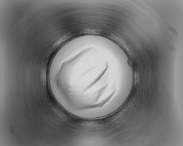 X0000116670349201001041134