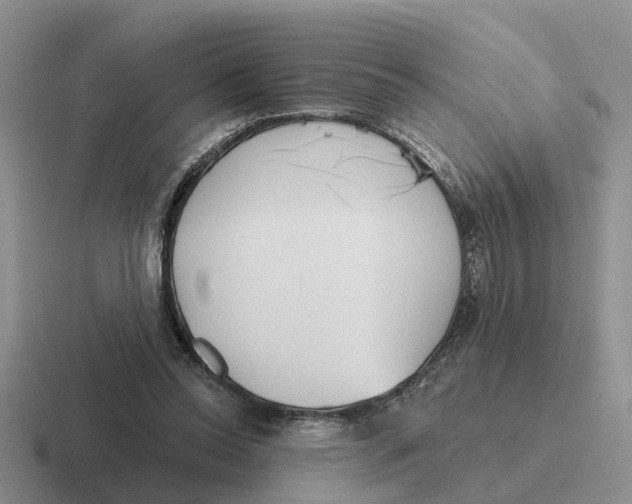 X0000116670350201001041134