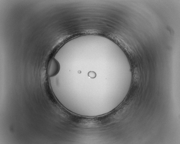 X0000116670351201001041134