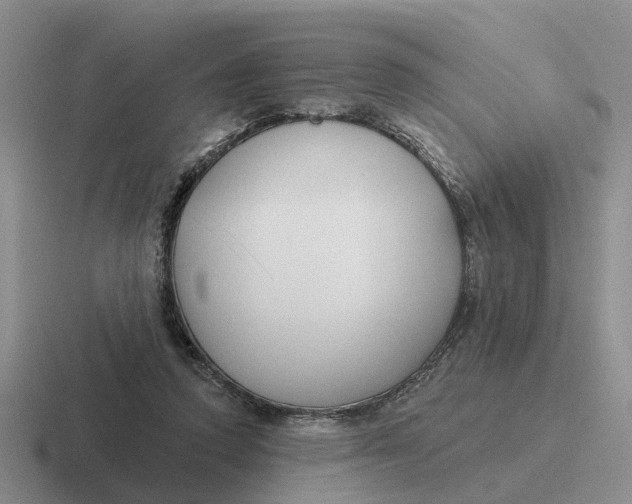 X0000116670354201001041134