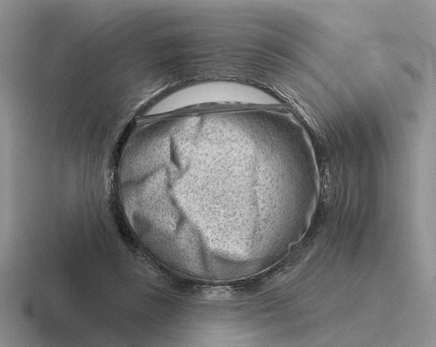 X0000116670355201001041134