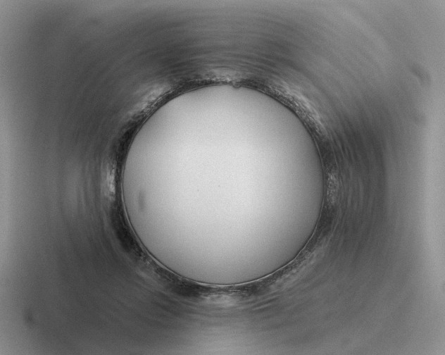 X0000116670358201001041134