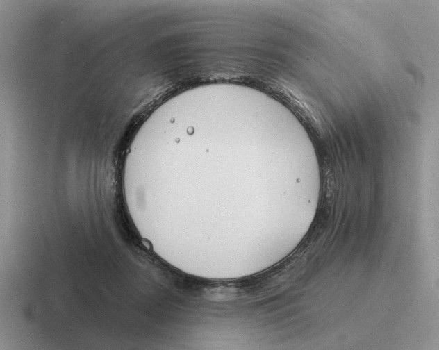 X0000116670362201001041134