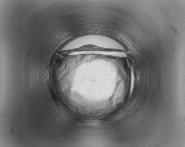 X0000116670363201001041134