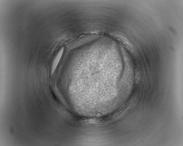 X0000116670365201001041134