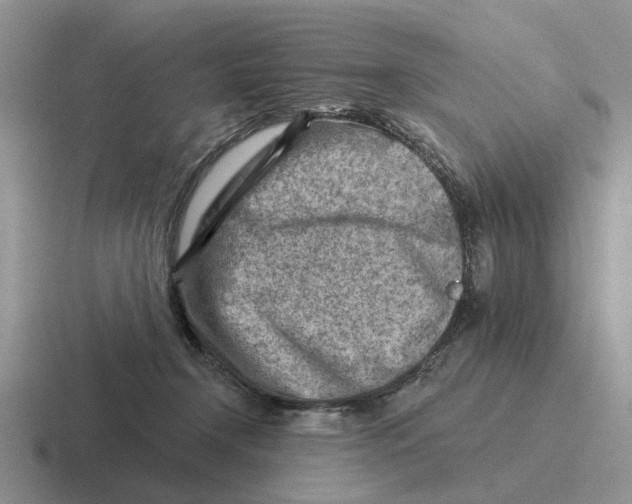 X0000116670366201001041134