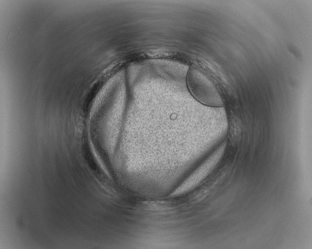 X0000116670367201001041134