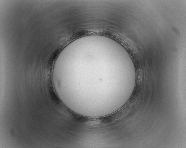 X0000116670369201001041134