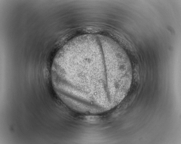 X0000116670371201001041134